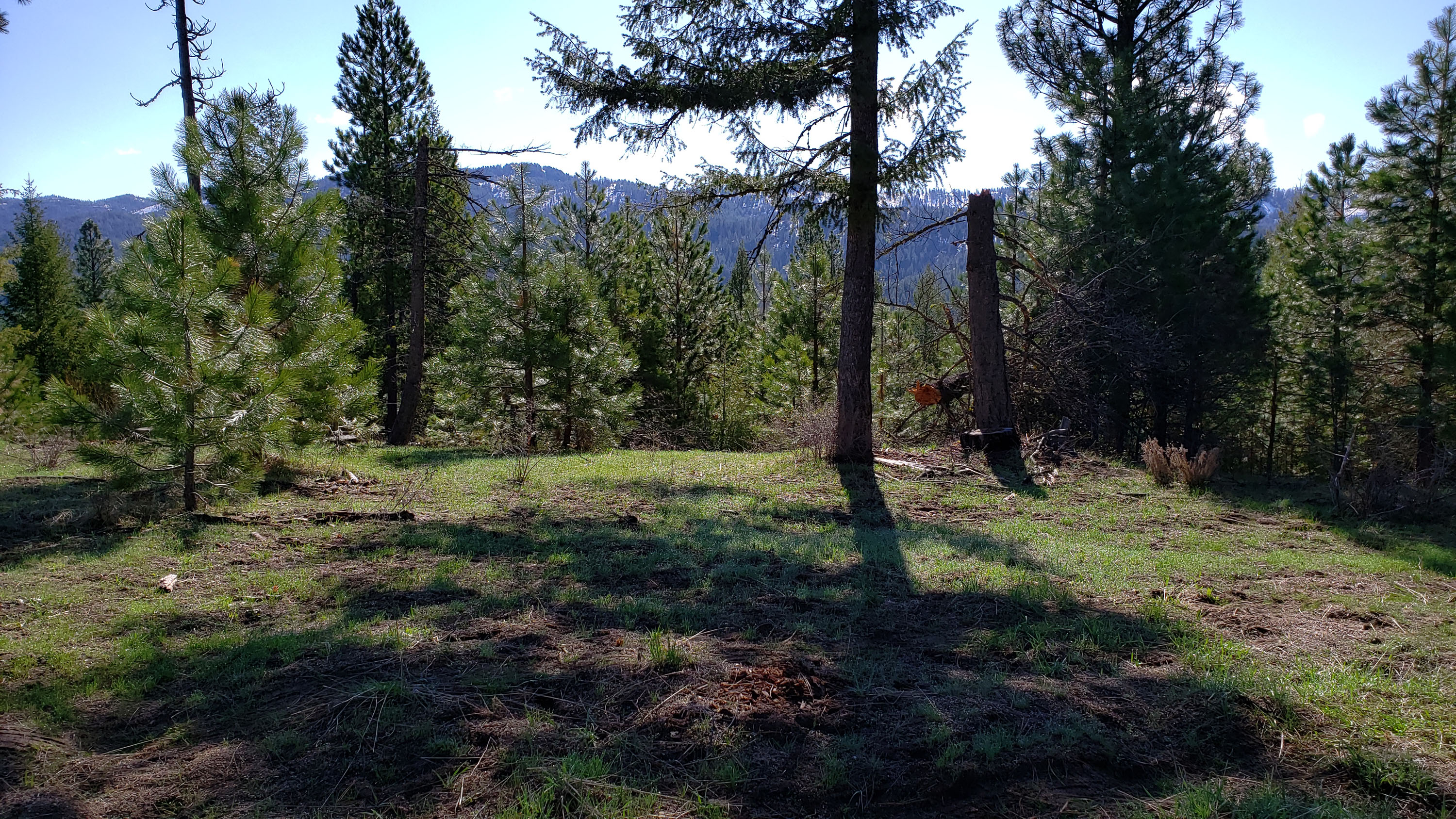 Cascade Lake Realty Bare Land Over 300K